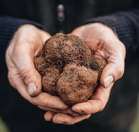 A Taste of Truffles - Pubs Adelaide