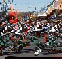 Australian Celtic Festival - Pubs Adelaide