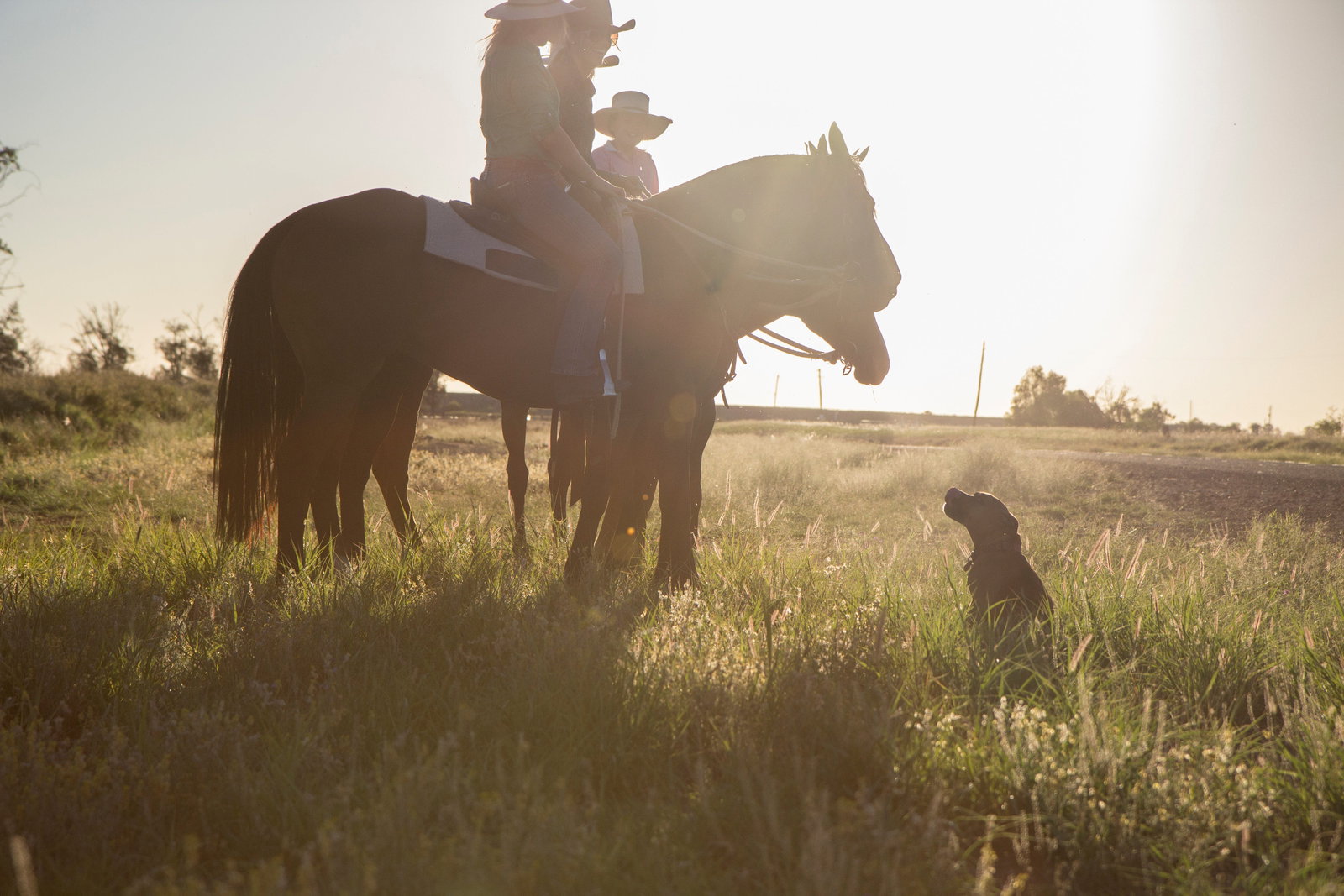 St George QLD Pubs Adelaide