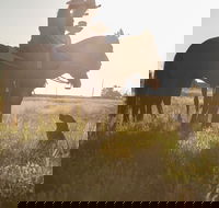 Balonne Cutting Horse Futurity - Pubs Adelaide