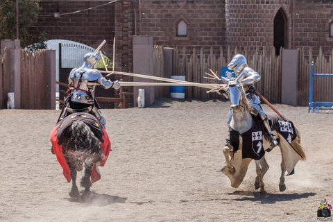 Baroque Horse Festival - Pubs Adelaide 2