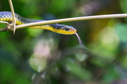 Be Welcomed By Wildlife At The Australian Wildlife Sanctuary - Pubs Adelaide 0