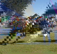 Casino Golf Club Markets - Pubs Adelaide