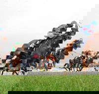 Christmas Cup Race Day - Pubs Adelaide