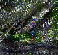 Elephant Trail Race - Pubs Adelaide