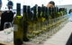 Eltham And District Wine Guild Annual Wine Show - 51st Annual Show - thumb 1