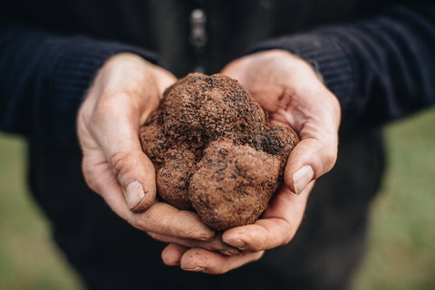 Feast And Forage - Craig's Royal Hotel - Pubs Adelaide 0
