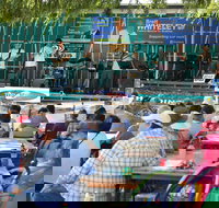 Festival in the Park - Pubs Adelaide