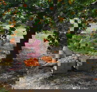 Fruit Bottling Sessions at Rayner's Orchard - Pubs Adelaide