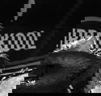 Girrakool Blues Festival and Barbecue - Pubs Adelaide