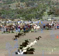 Gresford Agricultural Show - Pubs Adelaide