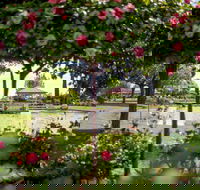 Griffith Spring Fest - Pubs Adelaide