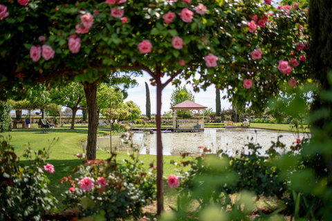 Griffith Spring Fest - Pubs Adelaide 0