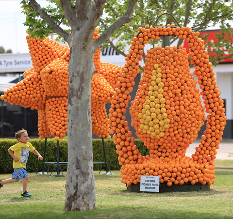 Griffith Spring Fest - Pubs Adelaide 1