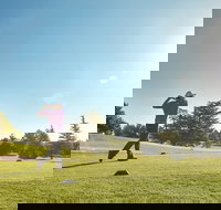 Hahn City of Orange Golf Championship - Pubs Adelaide