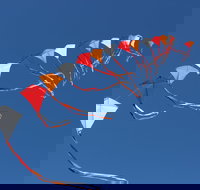 Harden Kite Festival - Pubs Adelaide