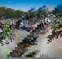 JetBlack Wild Wombat MTB Challenge - Pubs Adelaide