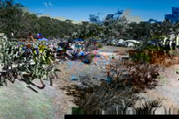 JetBlack Wild Wombat MTB Challenge
