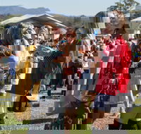 Lovedale Long Lunch - Pubs Adelaide