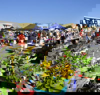 Maclean Community Monthly Markets - Pubs Adelaide