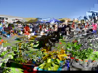 Maclean Community Monthly Markets