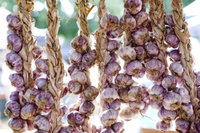 Meeniyan Garlic Festival