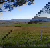 Milton Village Showground Markets - Pubs Adelaide