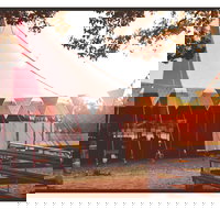 Mullum Circus Festival - Pubs Adelaide