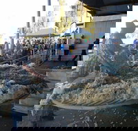 Narrabri Show - Pubs Adelaide