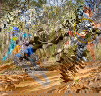 NSW State Downhill Mountain Bike Championships - Pubs Adelaide