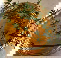 Online live streaming class DIY Skincare Products - Pubs Adelaide