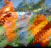 Outback Festival - Pubs Adelaide