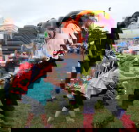 Pambula Show - Pubs Adelaide