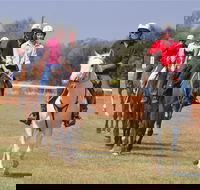 Pride of the West Races 2020 - Pubs Adelaide