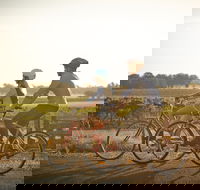 Rutherglen Gourmet Amble - Pubs Adelaide