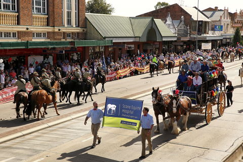 Scone Horse Festival - Pubs Adelaide 0