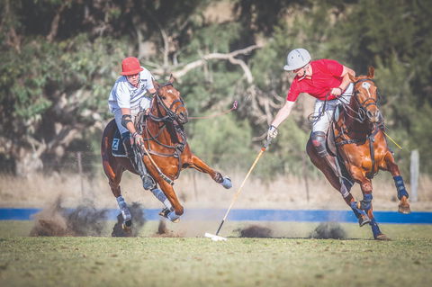 Scone Horse Festival - Pubs Adelaide 1
