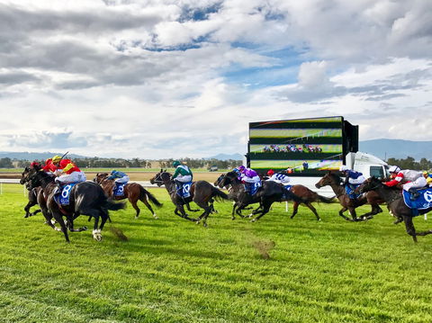 Scone Horse Festival - Pubs Adelaide 2