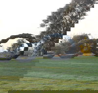 SculptureShaw - Pubs Adelaide