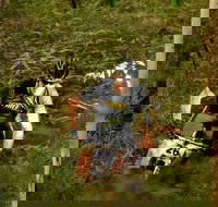 Sunshine Coast MTB Festival - Pubs Adelaide