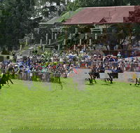 Tumut Derby Day - Pubs Adelaide