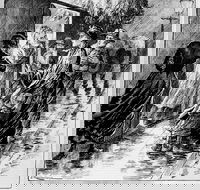 Wayward Women - Pubs Adelaide