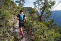 Wild Earth Coastal High 50