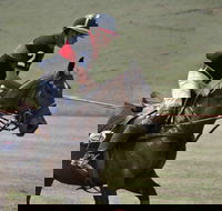 Wirragulla Annual Polo Tournament - Pubs Adelaide