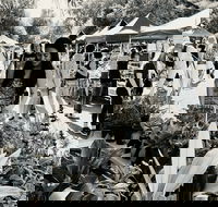 Yamba Farmers and Producers Market - Pubs Adelaide