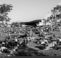 Yours and Owls Festival - Pubs Adelaide