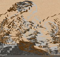 A Nation Divided the Great War and Conscription - Pubs Adelaide