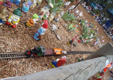 Australia Day With The Australian Gnome Convention Glenbrook - Pubs Adelaide 2