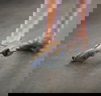 Beginner Tap Extended - Pubs Adelaide