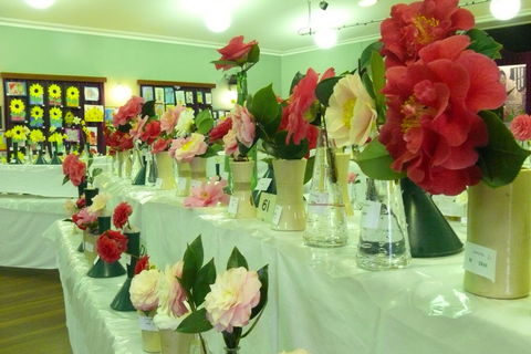 Blackheath Flower And Craft Show - Pubs Adelaide 1